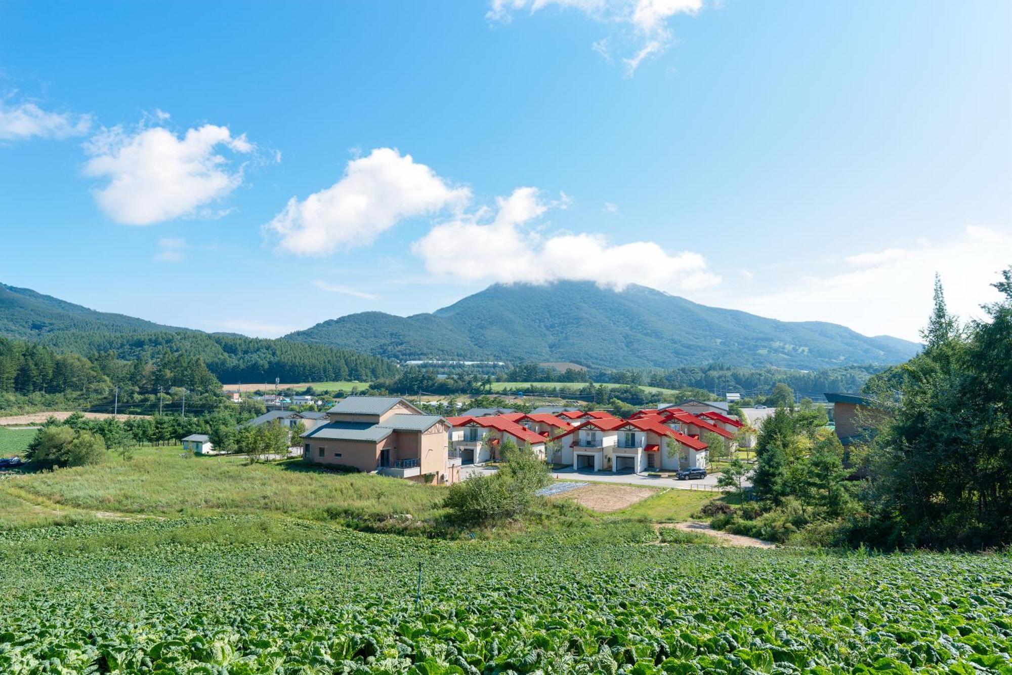 Hotel Le Comte Bleu Pjongczang Zewnętrze zdjęcie